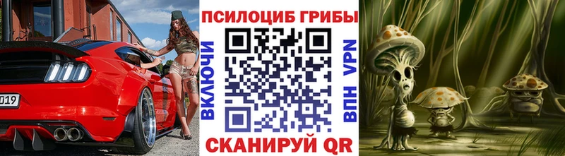 цены   Зуевка  Галлюциногенные грибы мицелий 